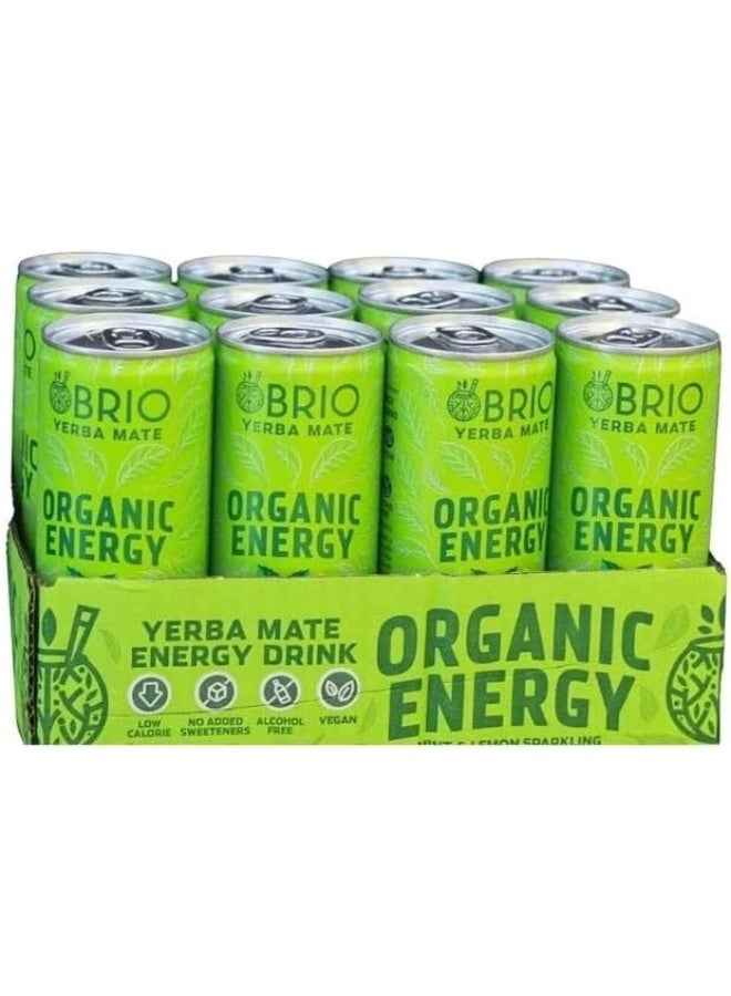BRIO Yerba Mate, Organic Energy Drink - 160 mg Natural Plant Based Caffeine, Lemon & Mint (250ml x Pack of 12) - Image 1
